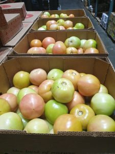 green tomatoes