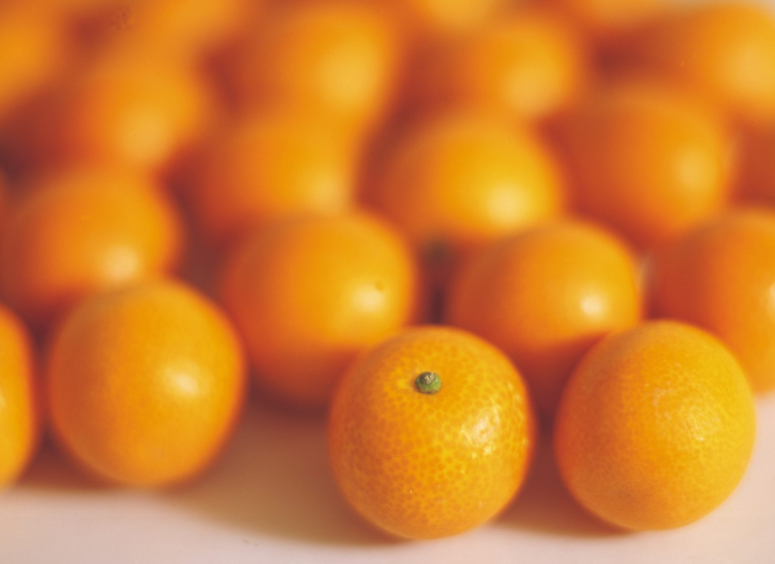 Tangerines Sysco Bahamas Food Services