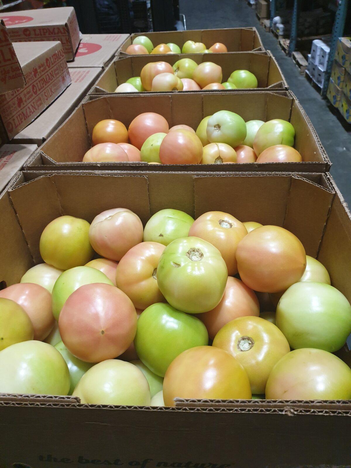 green tomatoes