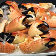 Asst. Stone Crab Claws