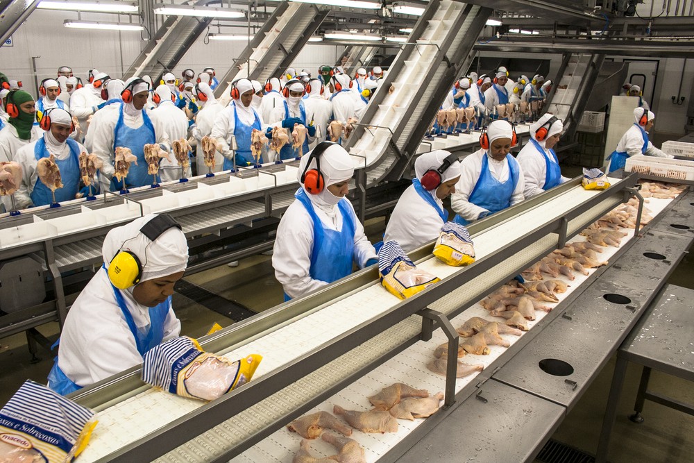 The US Chicken Industry's Enhanced Safety Measures