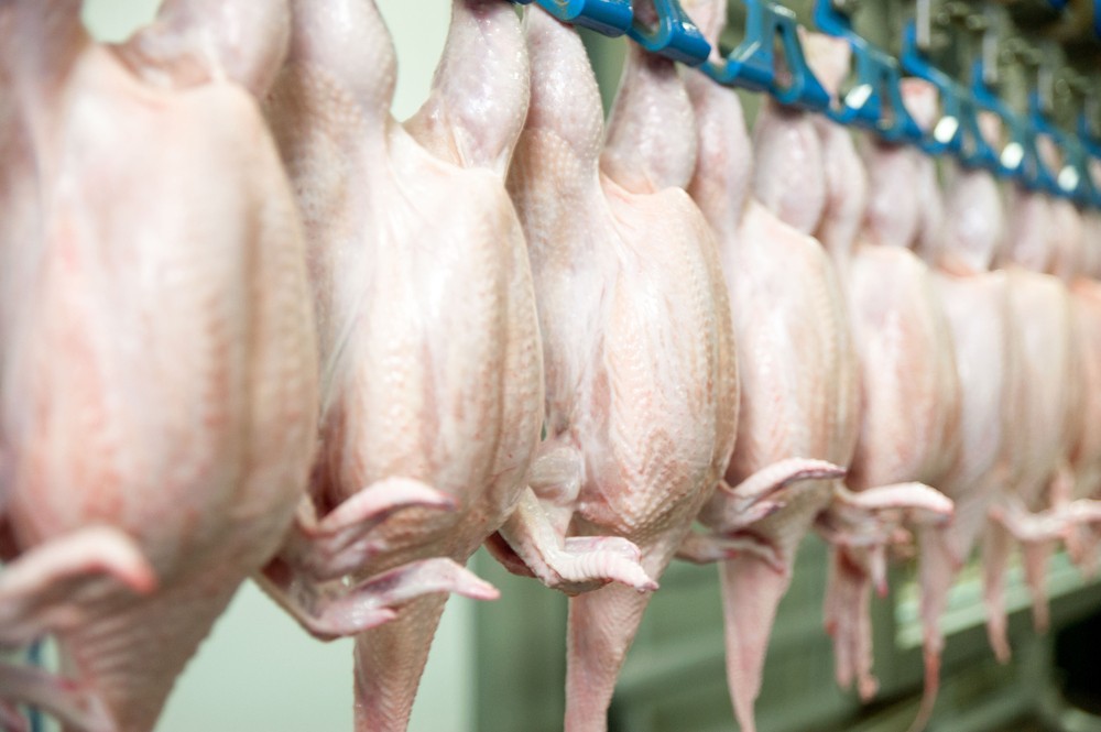 The US Chicken Industry's Enhanced Safety Measures