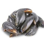 blue mussels