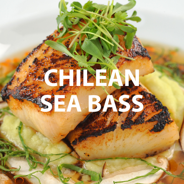 Chilean Sea Bass