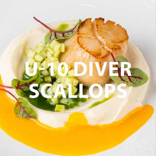 U-10 Diver Scallops