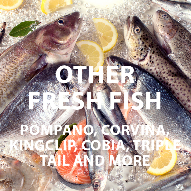 Other Fish, including Pompano, King Clip, Cobia, Triple Tail and more