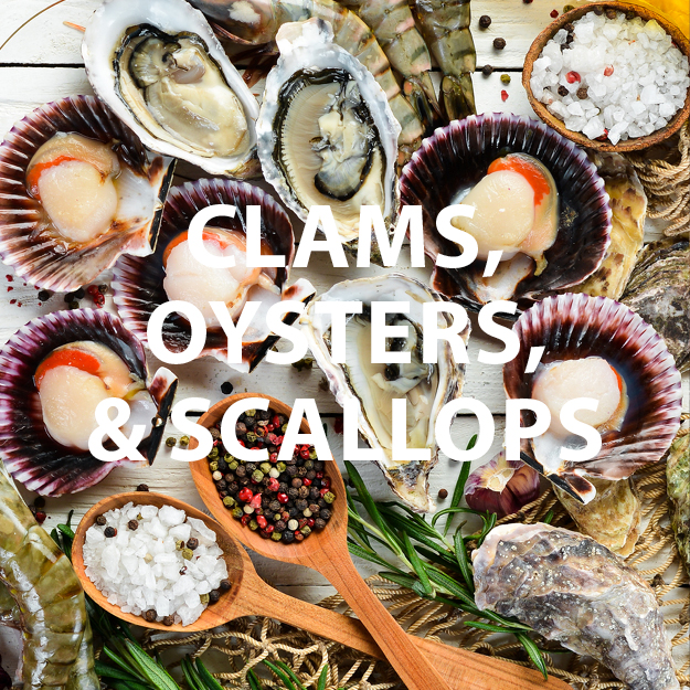 Clams, Oysters, Scallops