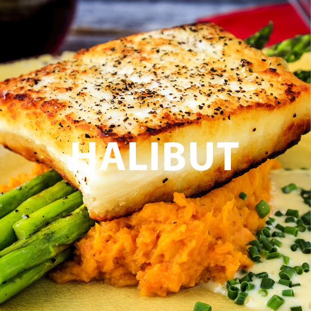 Halibut