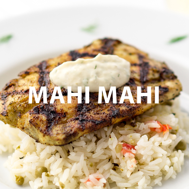 Mahi Mahi