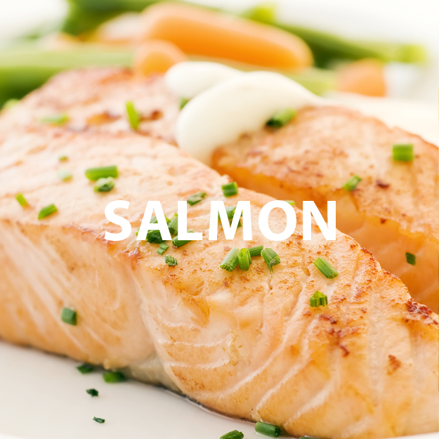 Salmon