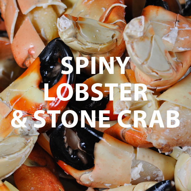 Spiny Lobster & Stone Crab